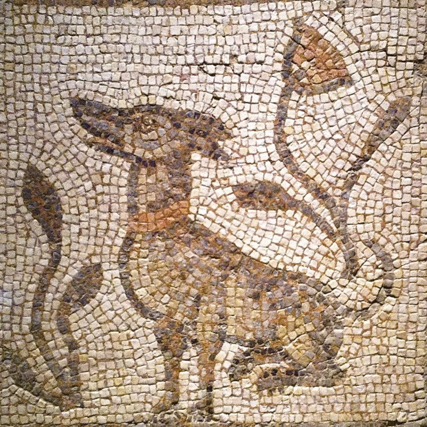 63 (HD): Dogs in Antiquity: Greece and Rome